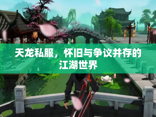 天龙私服，怀旧与争议并存的江湖世界