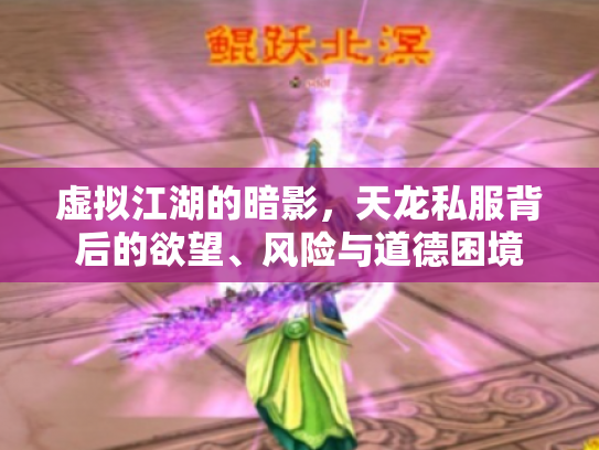 虚拟江湖的暗影，天龙私服背后的欲望、风险与道德困境