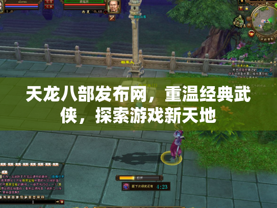 天龙八部发布网，重温经典武侠，探索游戏新天地