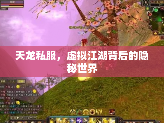 天龙私服，虚拟江湖背后的隐秘世界