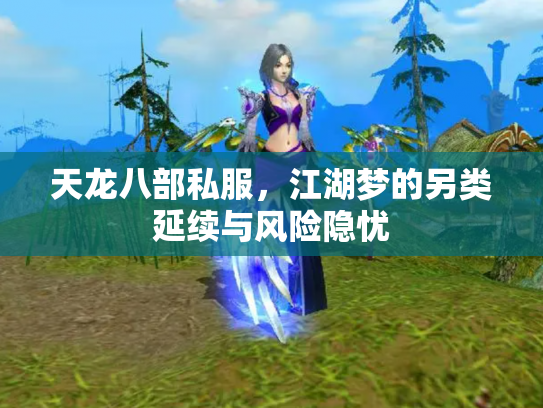 天龙八部私服，江湖梦的另类延续与风险隐忧