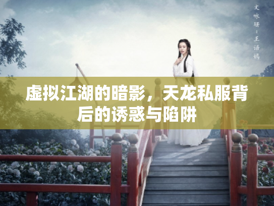 虚拟江湖的暗影，天龙私服背后的诱惑与陷阱