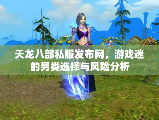 天龙八部私服发布网，游戏迷的另类选择与风险分析