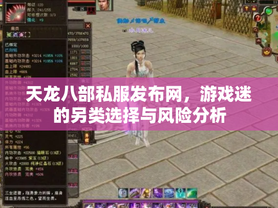 天龙八部私服发布网，游戏迷的另类选择与风险分析