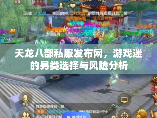 天龙八部私服发布网，游戏迷的另类选择与风险分析