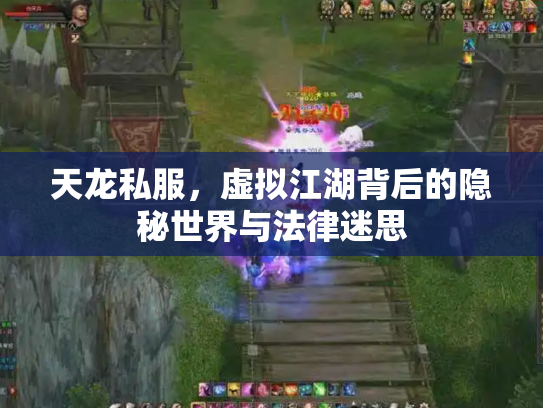 天龙私服，虚拟江湖背后的隐秘世界与法律迷思