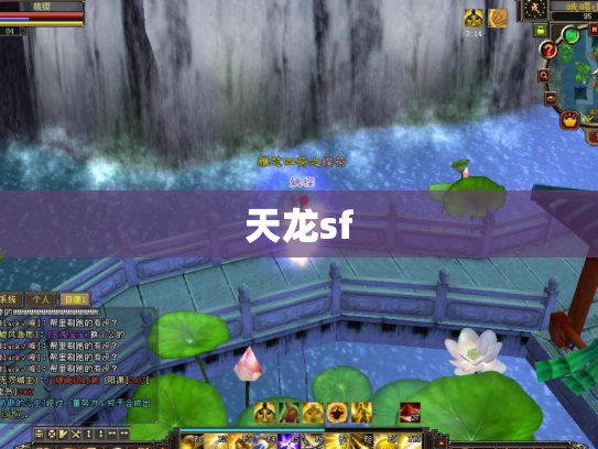 天龙sf