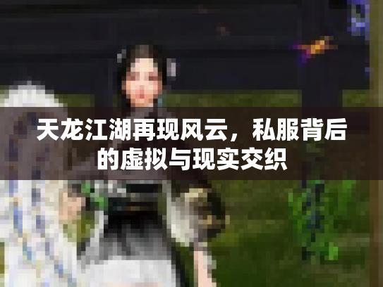 天龙江湖再现风云，私服背后的虚拟与现实交织