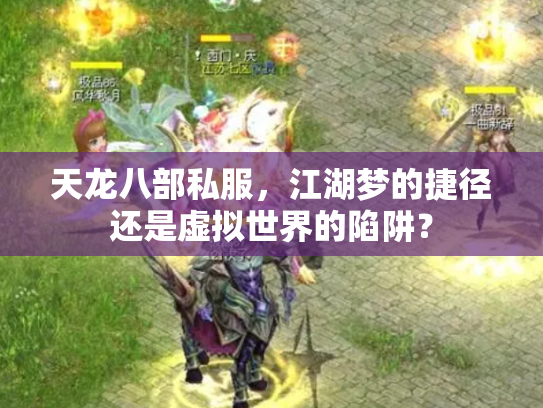 天龙八部私服，江湖梦的捷径还是虚拟世界的陷阱？