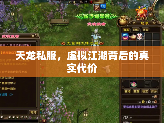 天龙私服，虚拟江湖背后的真实代价