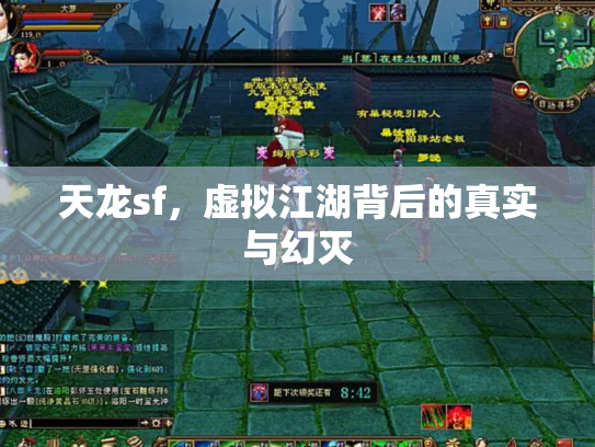 天龙sf，虚拟江湖背后的真实与幻灭