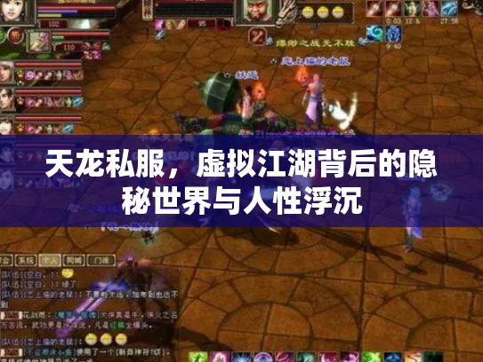 天龙私服，虚拟江湖背后的隐秘世界与人性浮沉