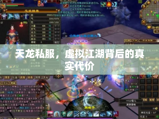 天龙私服，虚拟江湖背后的真实代价