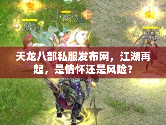 天龙八部私服发布网，江湖再起，是情怀还是风险？