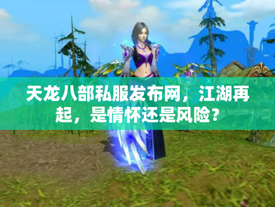 天龙八部私服发布网，江湖再起，是情怀还是风险？