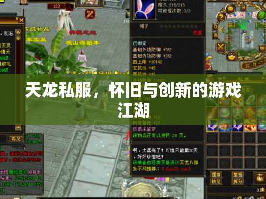 天龙私服，怀旧与创新的游戏江湖