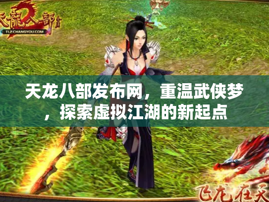 天龙八部发布网，重温武侠梦，探索虚拟江湖的新起点