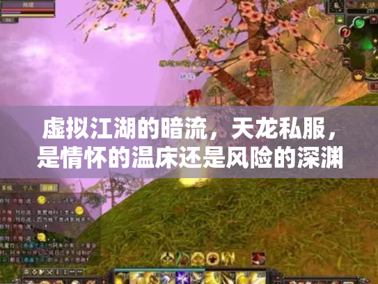 虚拟江湖的暗流，天龙私服，是情怀的温床还是风险的深渊？