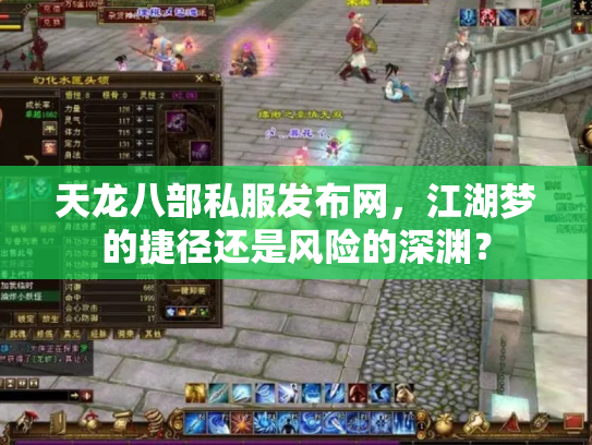 天龙八部私服发布网，江湖梦的捷径还是风险的深渊？