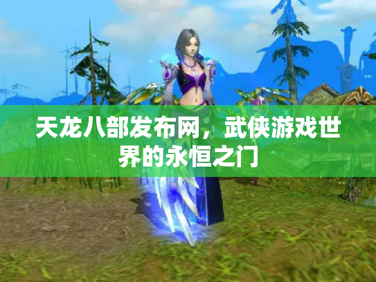 天龙八部发布网，武侠游戏世界的永恒之门