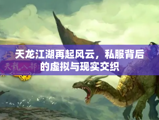 天龙江湖再起风云，私服背后的虚拟与现实交织