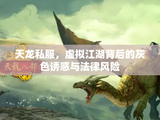 天龙私服，虚拟江湖背后的灰色诱惑与法律风险