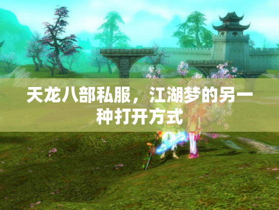 天龙八部私服，江湖梦的另一种打开方式