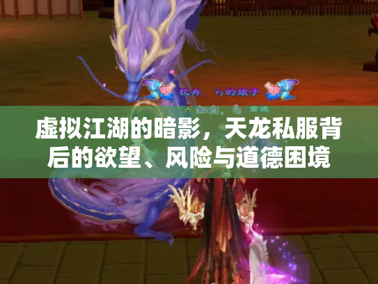 虚拟江湖的暗影，天龙私服背后的欲望、风险与道德困境