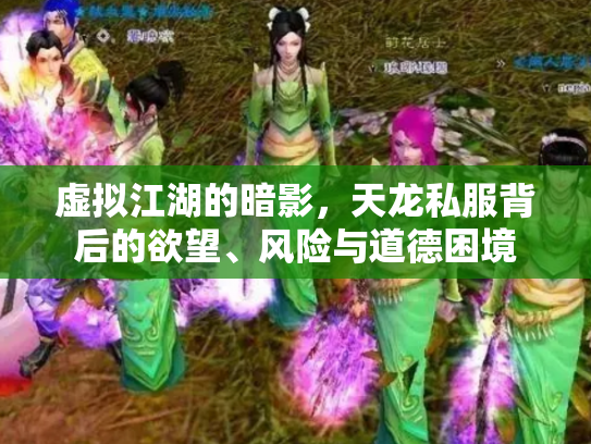 虚拟江湖的暗影，天龙私服背后的欲望、风险与道德困境
