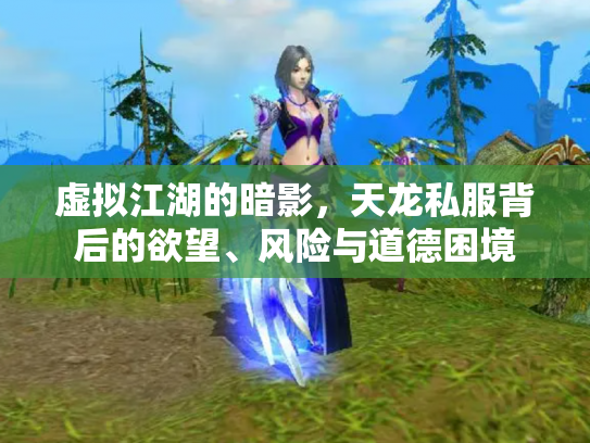 虚拟江湖的暗影，天龙私服背后的欲望、风险与道德困境