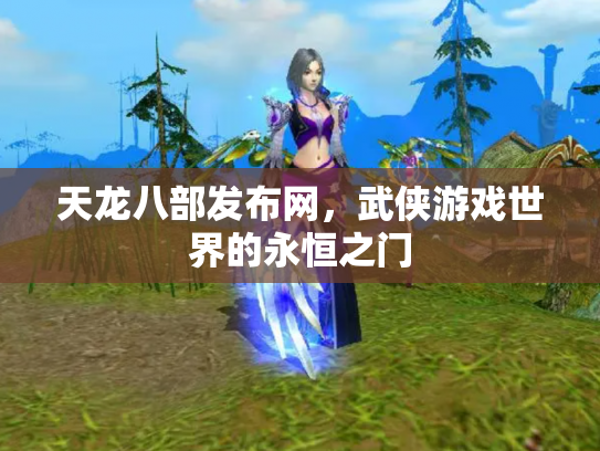 天龙八部发布网，武侠游戏世界的永恒之门