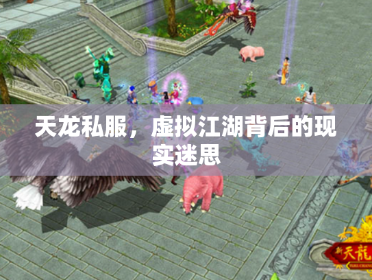 天龙私服，虚拟江湖背后的现实迷思