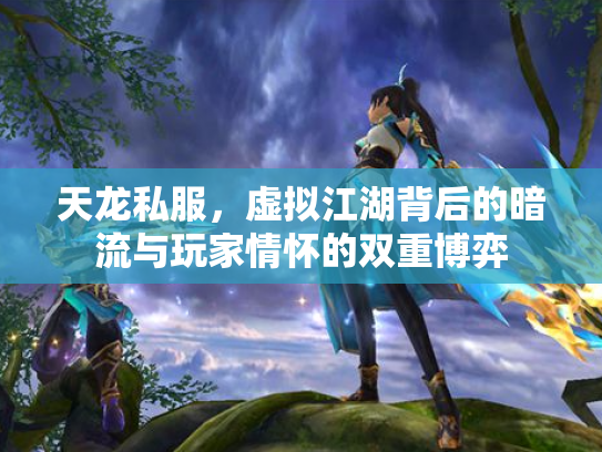天龙私服，虚拟江湖背后的暗流与玩家情怀的双重博弈