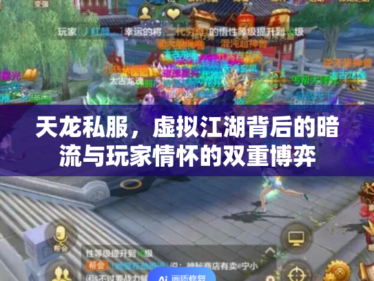天龙私服，虚拟江湖背后的暗流与玩家情怀的双重博弈