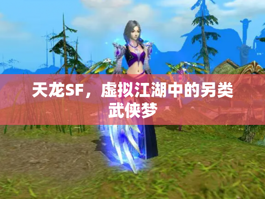 天龙SF，虚拟江湖中的另类武侠梦