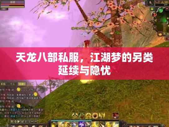 天龙八部私服，江湖梦的另类延续与隐忧