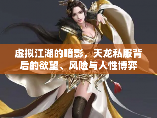 虚拟江湖的暗影，天龙私服背后的欲望、风险与人性博弈