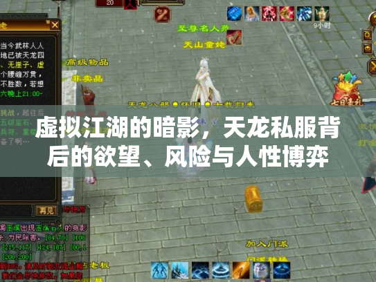 虚拟江湖的暗影，天龙私服背后的欲望、风险与人性博弈