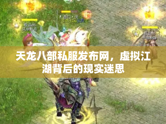 天龙八部私服发布网，虚拟江湖背后的现实迷思