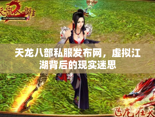天龙八部私服发布网，虚拟江湖背后的现实迷思