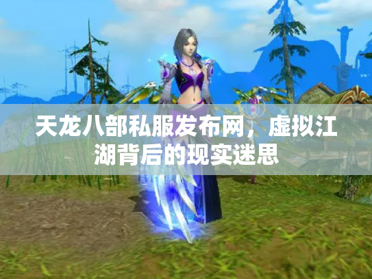 天龙八部私服发布网，虚拟江湖背后的现实迷思
