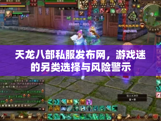 天龙八部私服发布网，游戏迷的另类选择与风险警示
