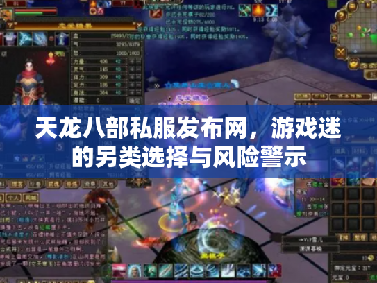 天龙八部私服发布网，游戏迷的另类选择与风险警示