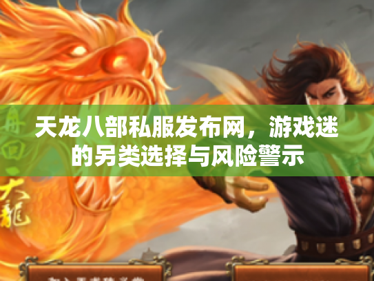 天龙八部私服发布网，游戏迷的另类选择与风险警示