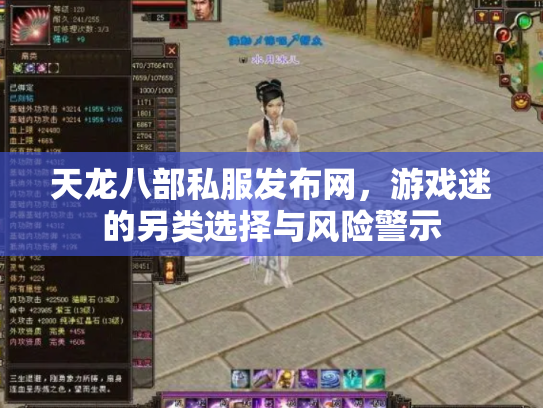 天龙八部私服发布网，游戏迷的另类选择与风险警示