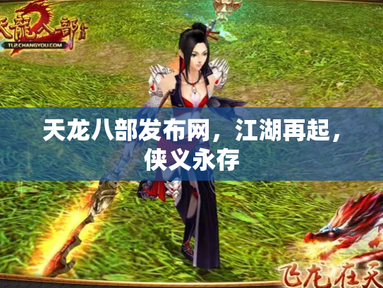 天龙八部发布网，江湖再起，侠义永存
