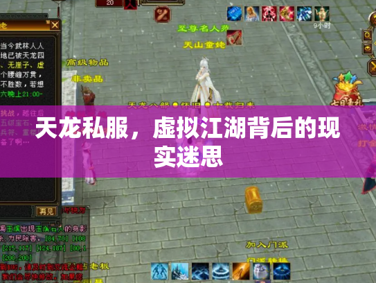 天龙私服，虚拟江湖背后的现实迷思