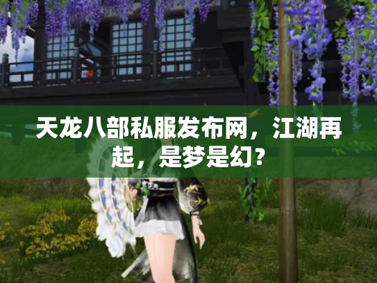 天龙八部私服发布网，江湖再起，是梦是幻？