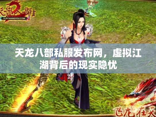 天龙八部私服发布网，虚拟江湖背后的现实隐忧