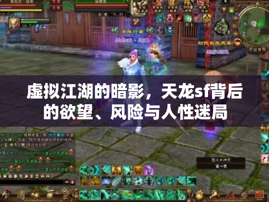 虚拟江湖的暗影，天龙sf背后的欲望、风险与人性迷局